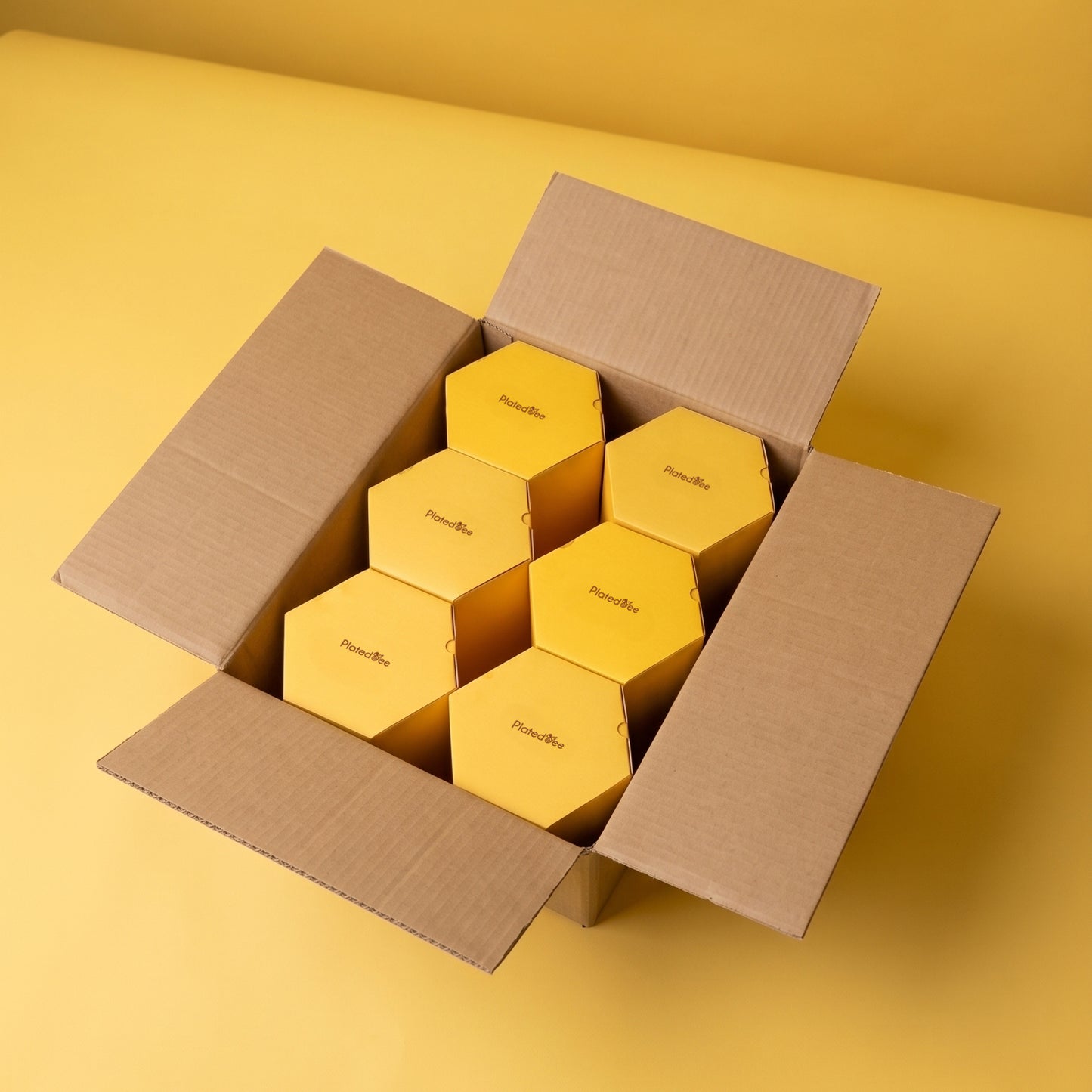 Case Pack of 6 Starter Sets